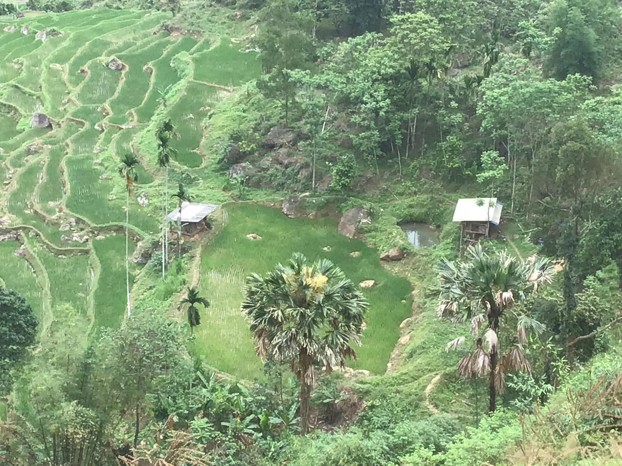 Gentle Sapa Cycling: Half-Day Cultural Experience to Má Tra & Tả Phìn Valley